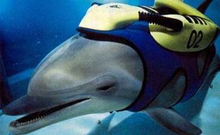 Illustration for article titled 10 of the most epic science fictional dolphins